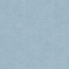 Denim Surface  5315